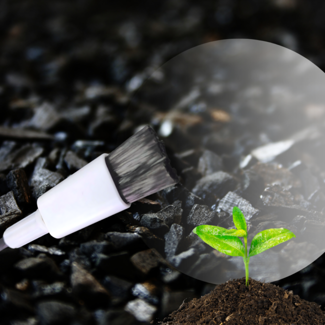 Carbon Fiber Power Brushes for Optimal Weld Cleaning Performance Carbon Fiber Power Brushes for Optimal Weld Cleaning Performance